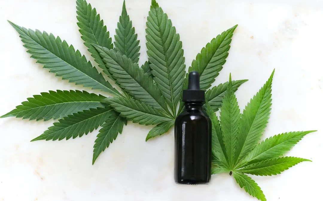 Green Healing: Understanding Cannabis Wellness Trends for 2024