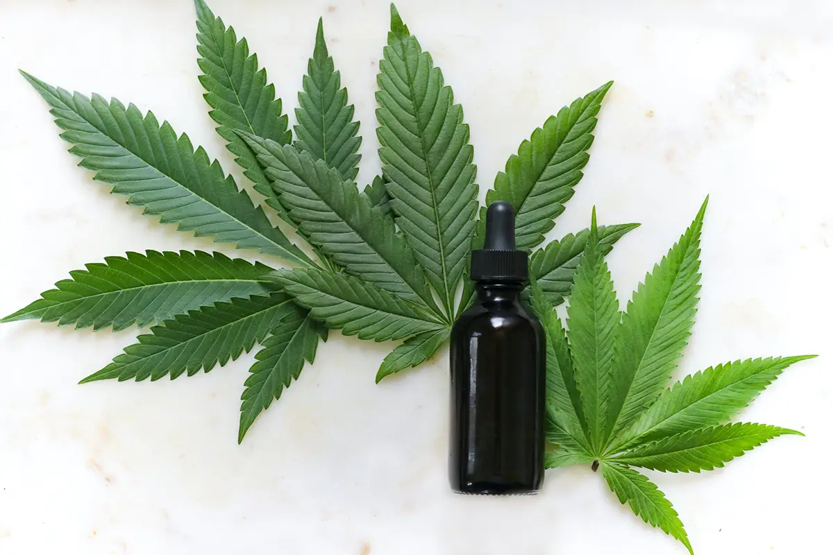 Canabis tincture bottle laying on cannabis leaves on a marble countertop