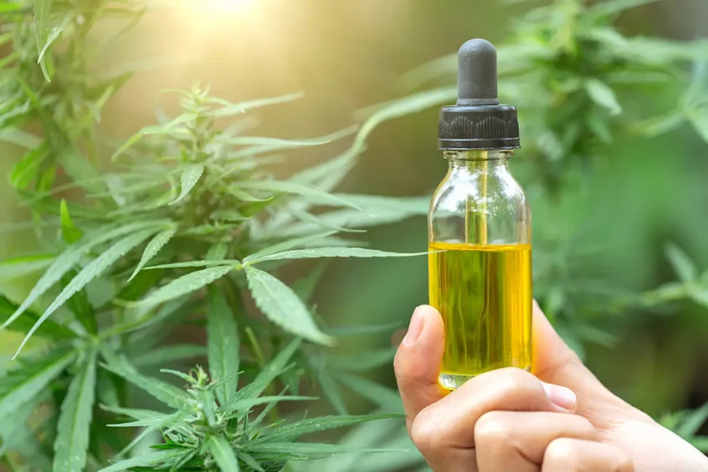 A person's hand holding a bottle of cannabis oil, with cannabis plants in the background.
