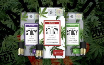 6 Top Cannabis Brands to look out for in 2024