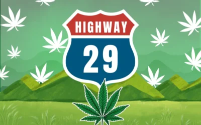 Highway 29 Dispensary: Your Trusted Spot for Premium Cannabis in Vallejo, CA