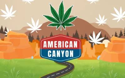 American Canyon Dispensaries: Your Guide to the Best Cannabis in 2025