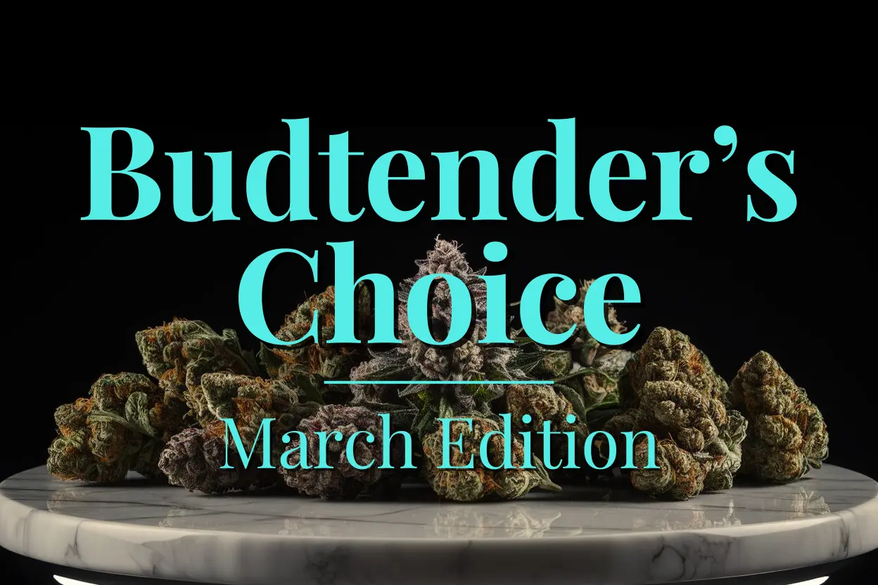 Budtender’s Choice Hero Header Image March Budtender’s Choice - A selection of premium cannabis buds displayed on a white marble surface, featuring vibrant green and purple hues. Highlighting top cannabis picks for March at Vallejo Relief Center.