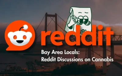 What Bay Area Locals Are Buying: Cannabis Trends from Reddit Discussions