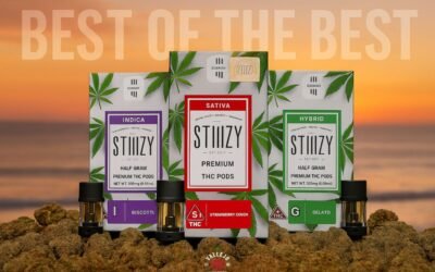 Best of the Best STIIIZY Products in 2025: Nationwide, California & Vallejo Insights