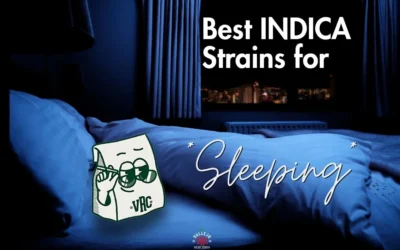 Best Indica Strains for Sleep in Vallejo – Available at Vallejo Relief Center