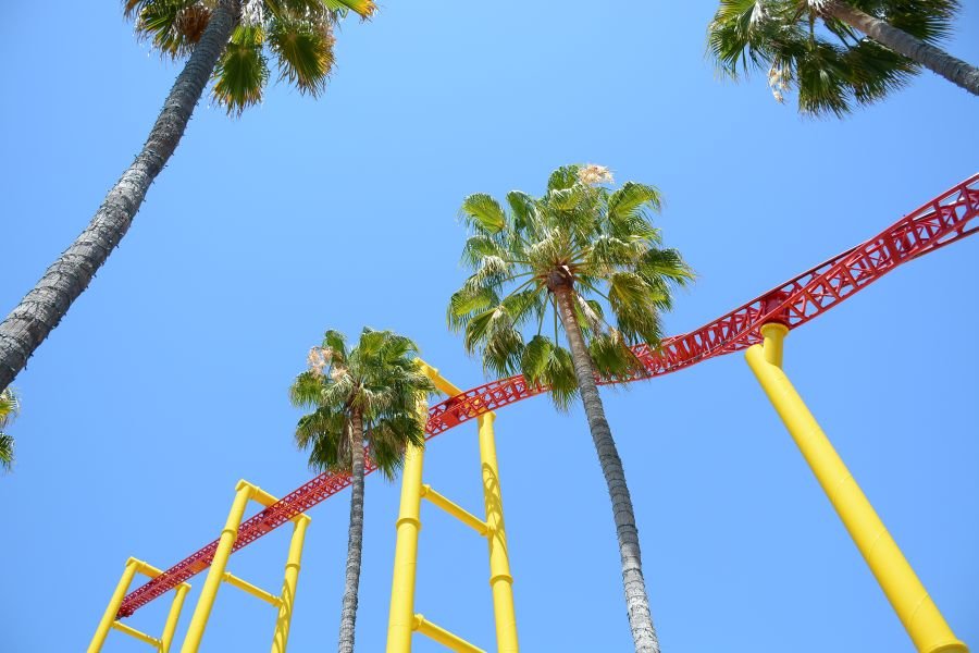Bright yellow and red roller coaster track soaring through tall palm trees at Six Flags Discovery Kingdom in Vallejo, California.