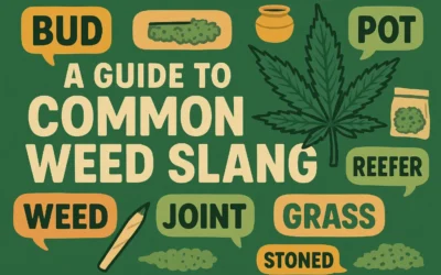 From Ganja to Loud: A Stoner’s Glossary of American Weed Slang