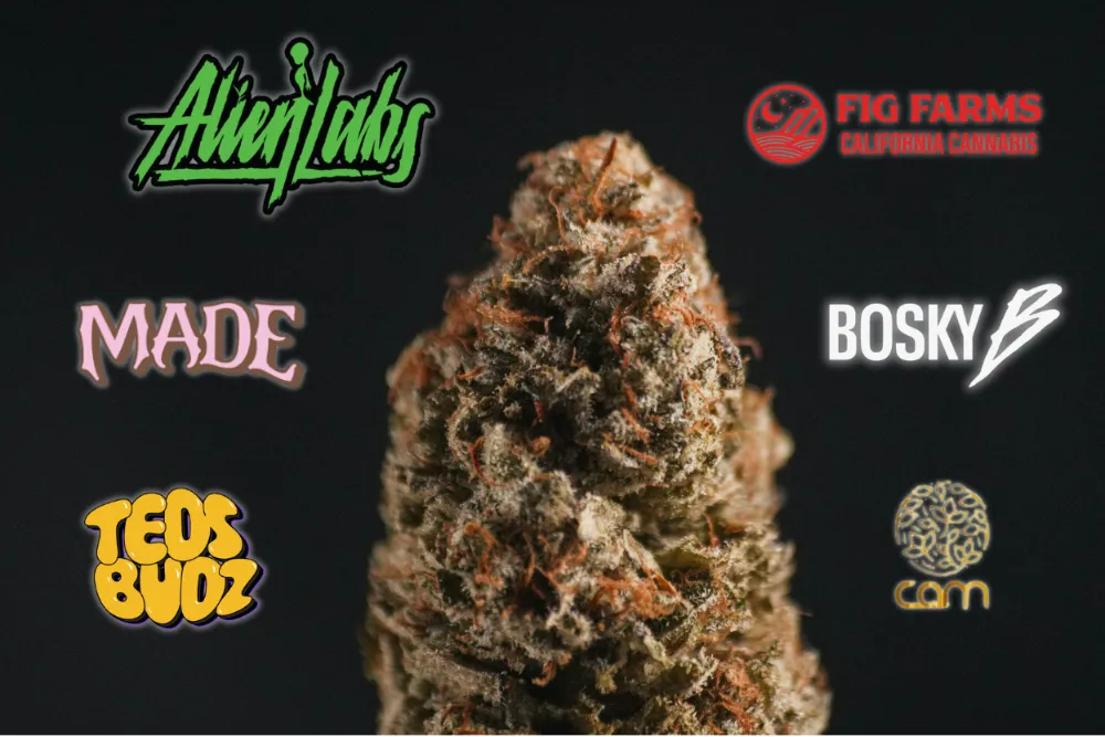 Detailed close-up of a dense cannabis bud surrounded by logos of popular California cannabis brands, including Alien Labs, Fig Farms, Made, Bosky, Ted’s Budz, and CAM.
