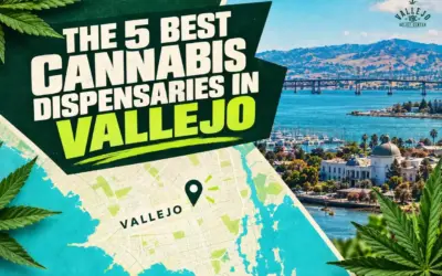 The 5 Best Cannabis Dispensaries in Vallejo in 2026