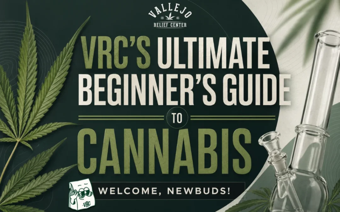 Cannabis for Beginners: Everything You Need to Know Before You Try It