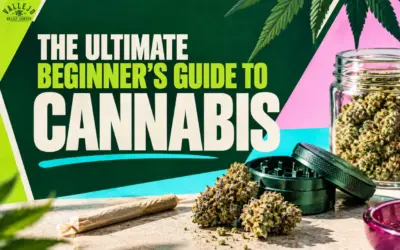 Cannabis for Beginners: Everything You Need to Know Before You Try It