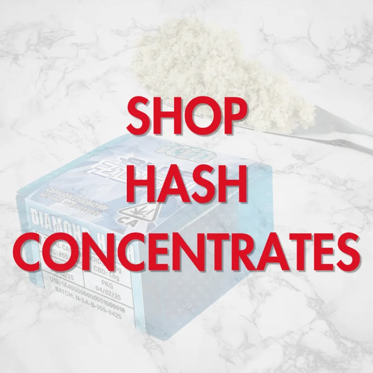 Shop hash concentrates at Vallejo Relief Center featuring cannabis hash products and premium extracts in Vallejo CA