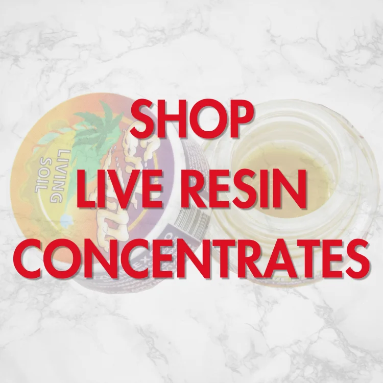 Shop live resin concentrates at Vallejo Relief Center featuring terp-rich cannabis extracts in Vallejo CA