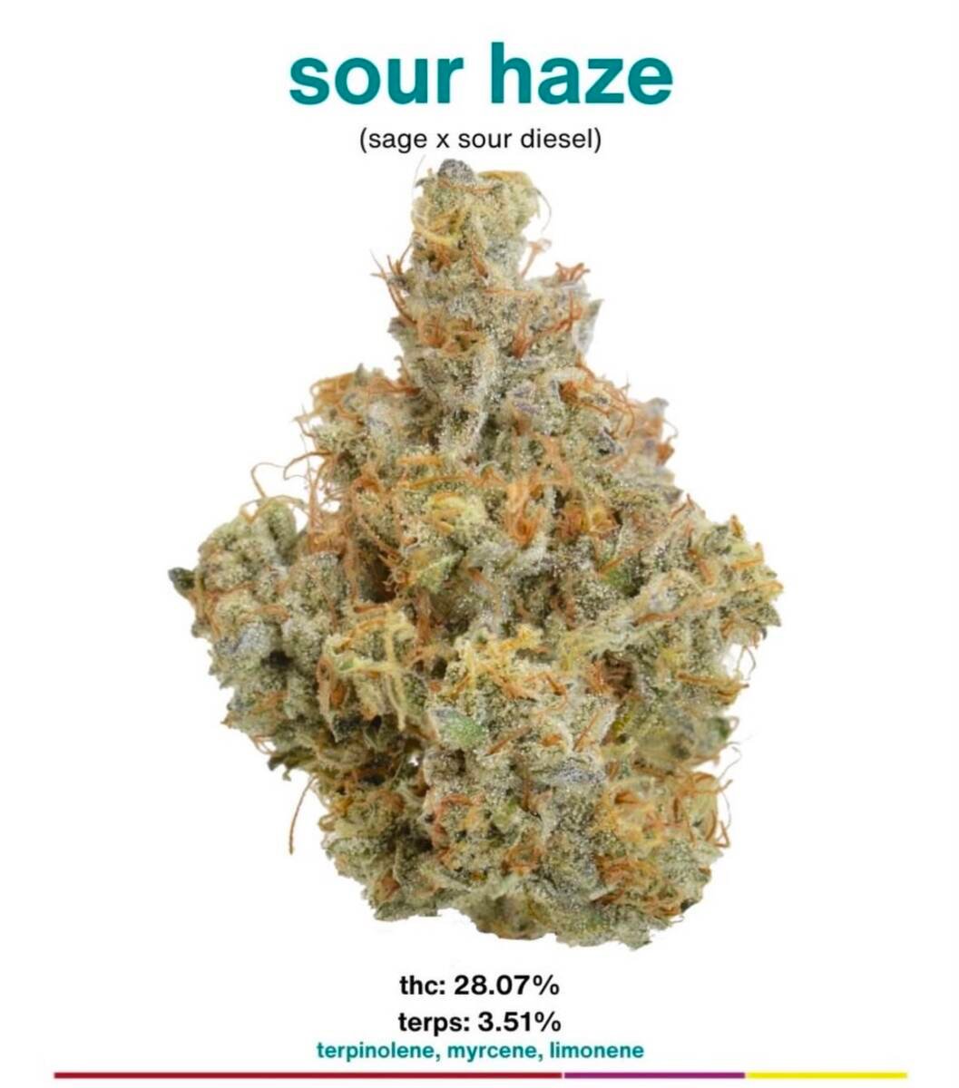 Sour Haze flower by MOCA, Sage x Sour Diesel cross, 28.07% THC and 3.51% terps, available at Vallejo Relief Center in Vallejo CA