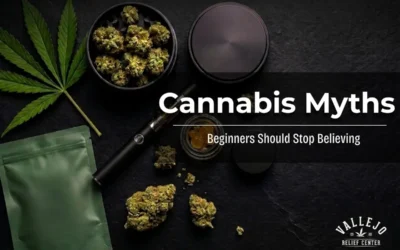 Cannabis Myths Beginners Should Stop Believing 