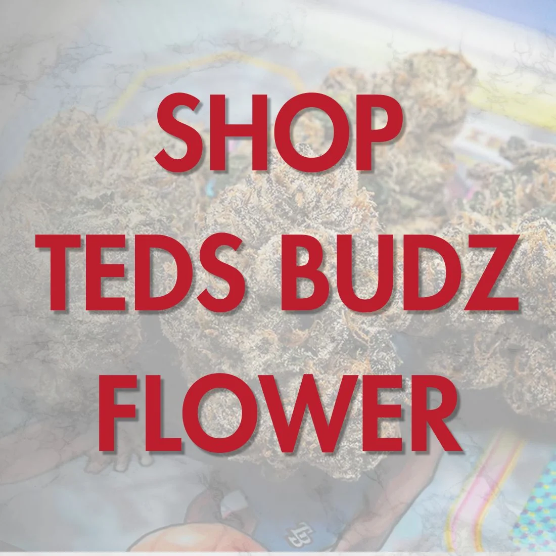 Shop Teds Budz flower graphic with close-up of frosty cannabis buds behind bold red text, promoting Teds Budz eighths at Vallejo Relief Center in Vallejo CA.