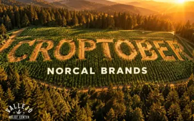 Croptober Is Here: NorCal Flower Brands Worth Your Harvest Season