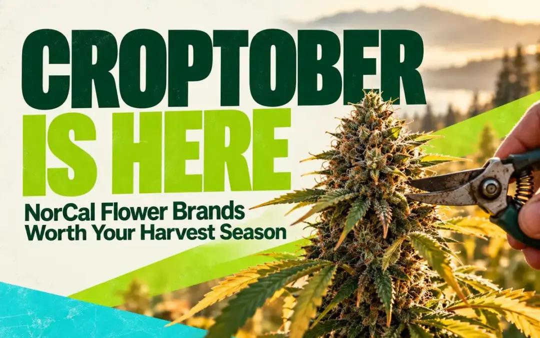 Croptober Is Here: NorCal Flower Brands Worth Your Harvest Season